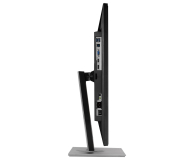 ASUS ProArt PA248QV - 571712 - zdjęcie 9